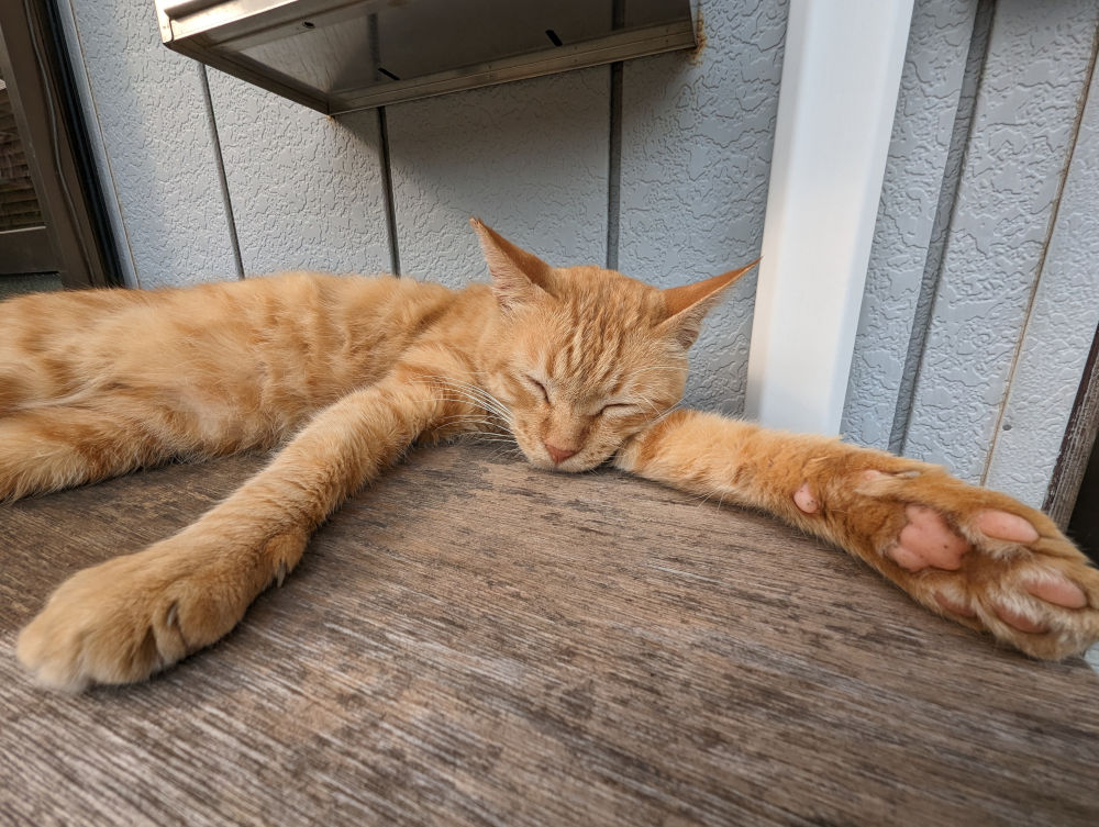 AIに仕事を奪われたのでしばらく休みます