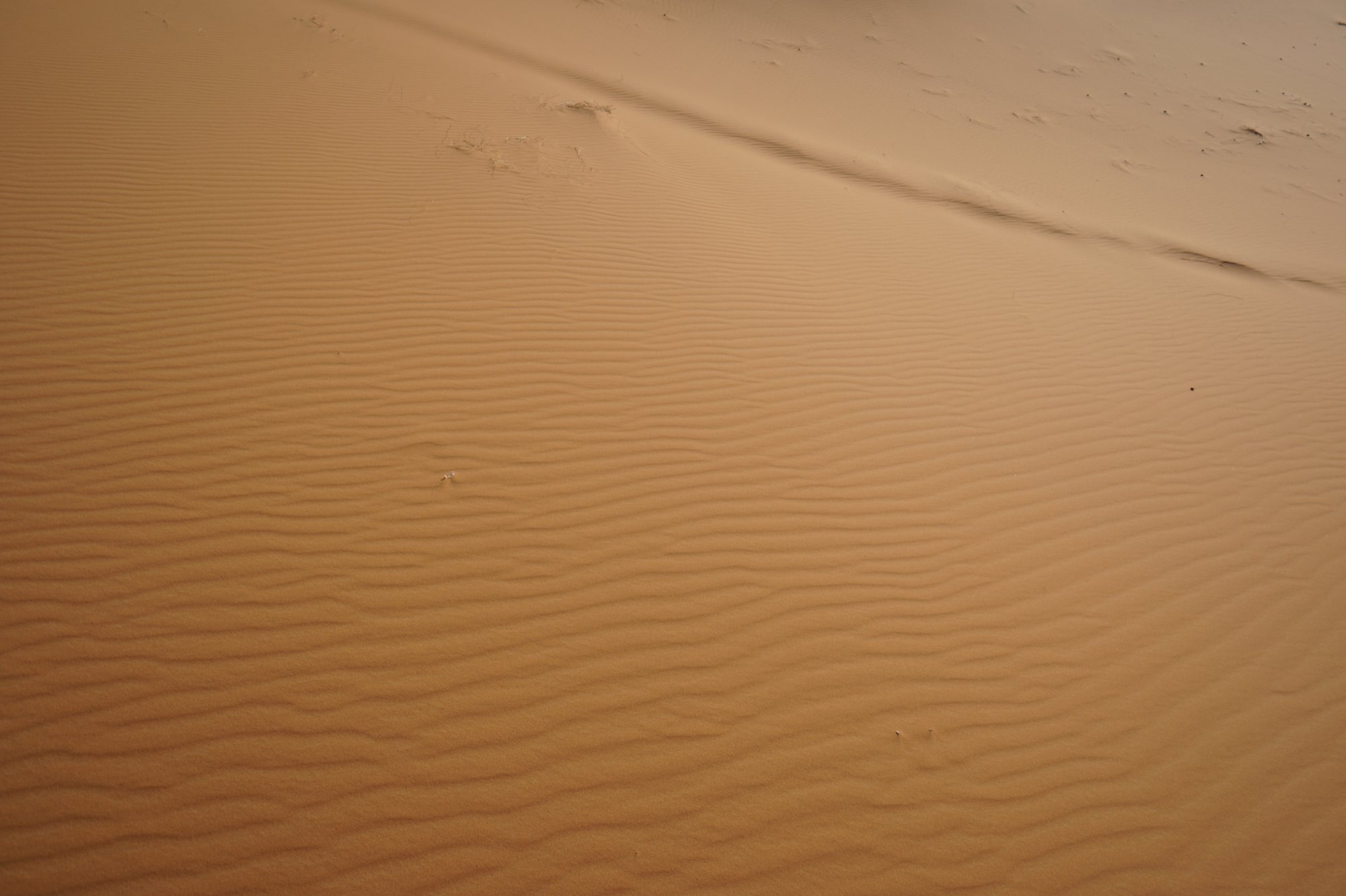 サハラ砂漠の砂