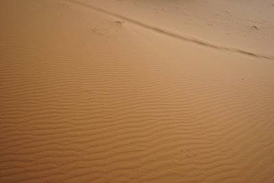 サハラ砂漠の砂