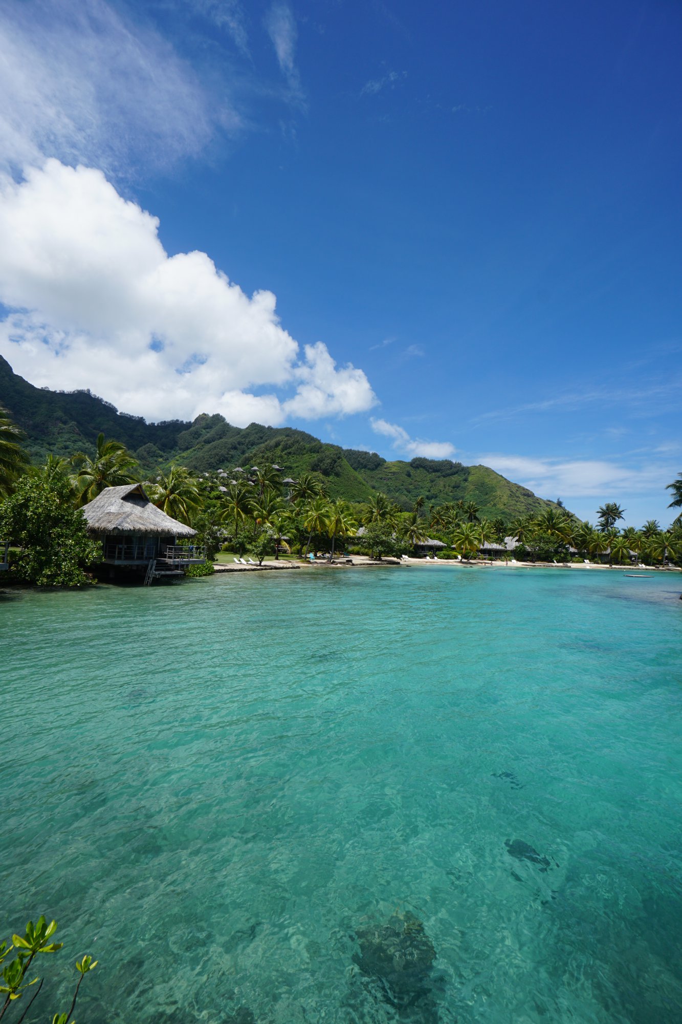 水上コテージとラグーン