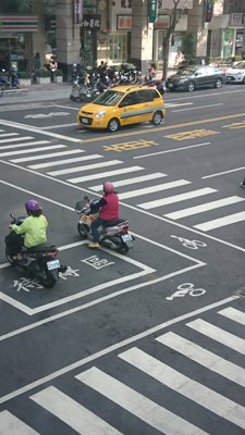 原チャにのる犬