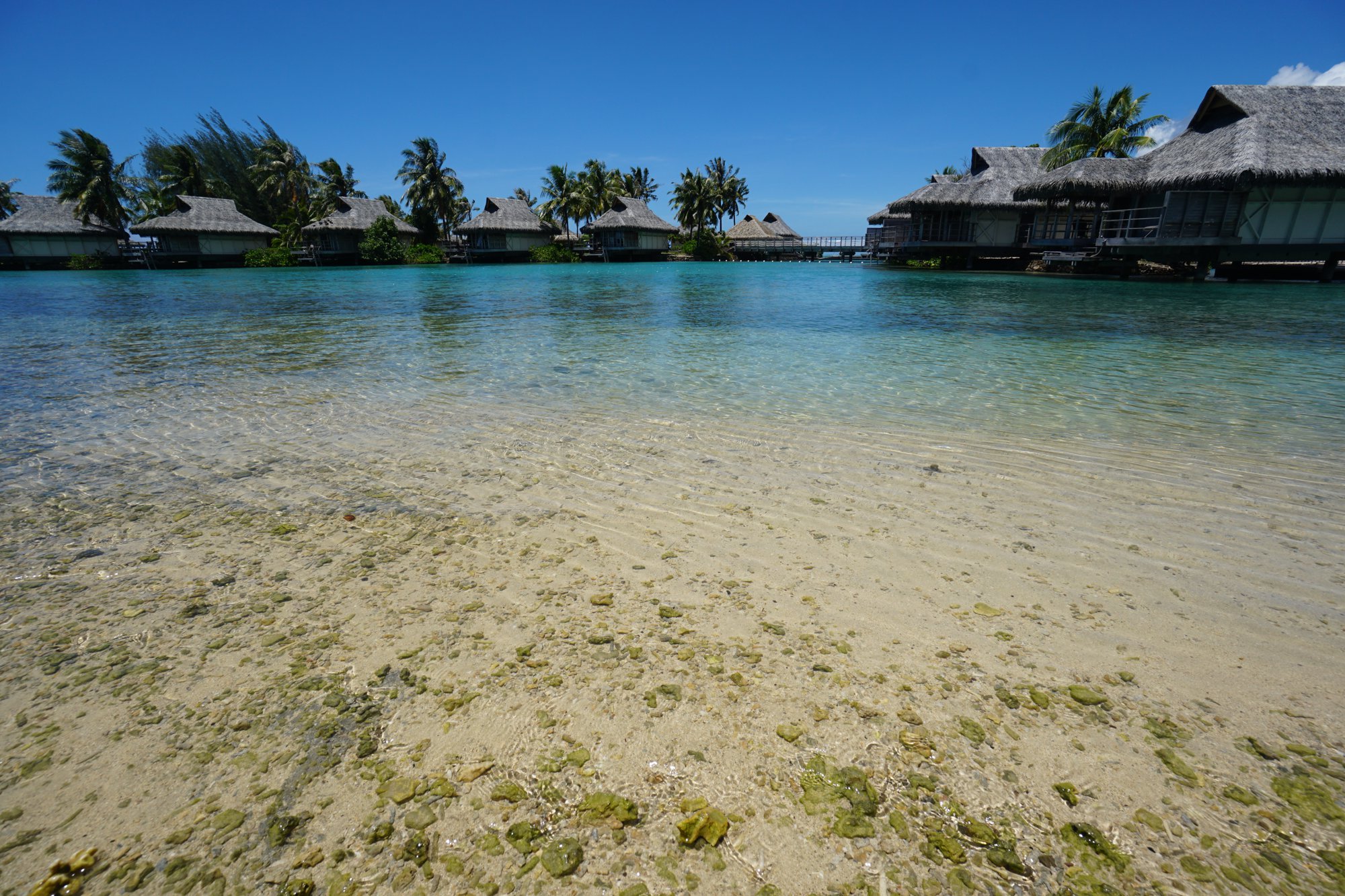 ホテル内のビーチ