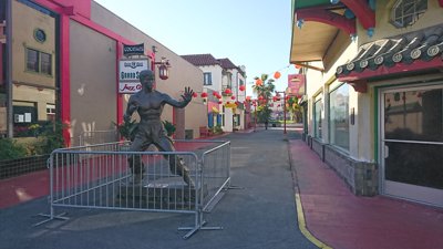 ロサンゼルスのブルースリー？