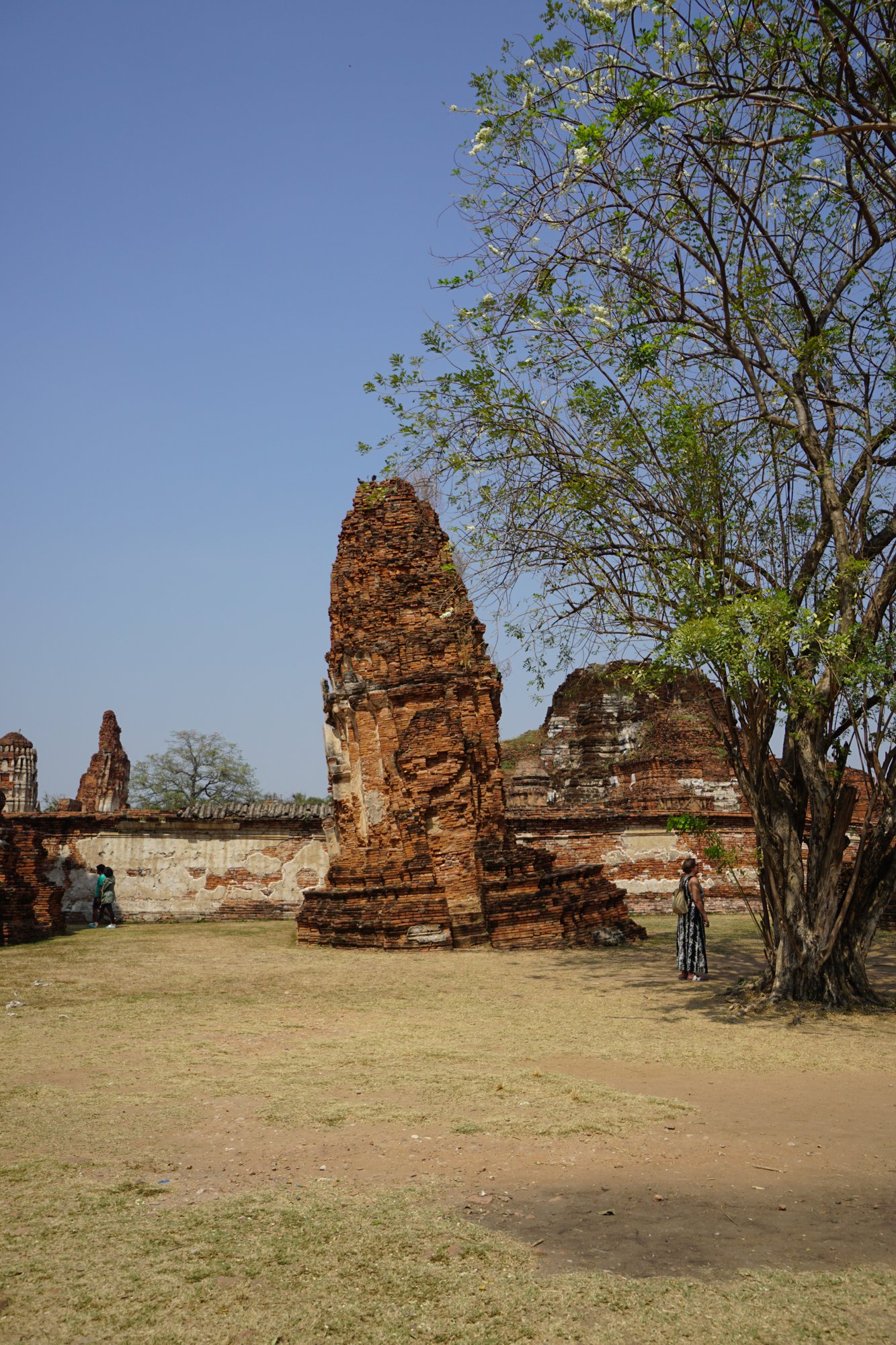 すごく斜めの遺跡 (アユタヤ遺跡)