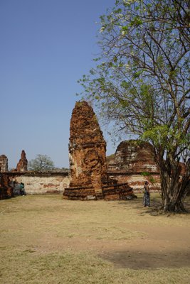 すごく斜めの遺跡 (アユタヤ遺跡)