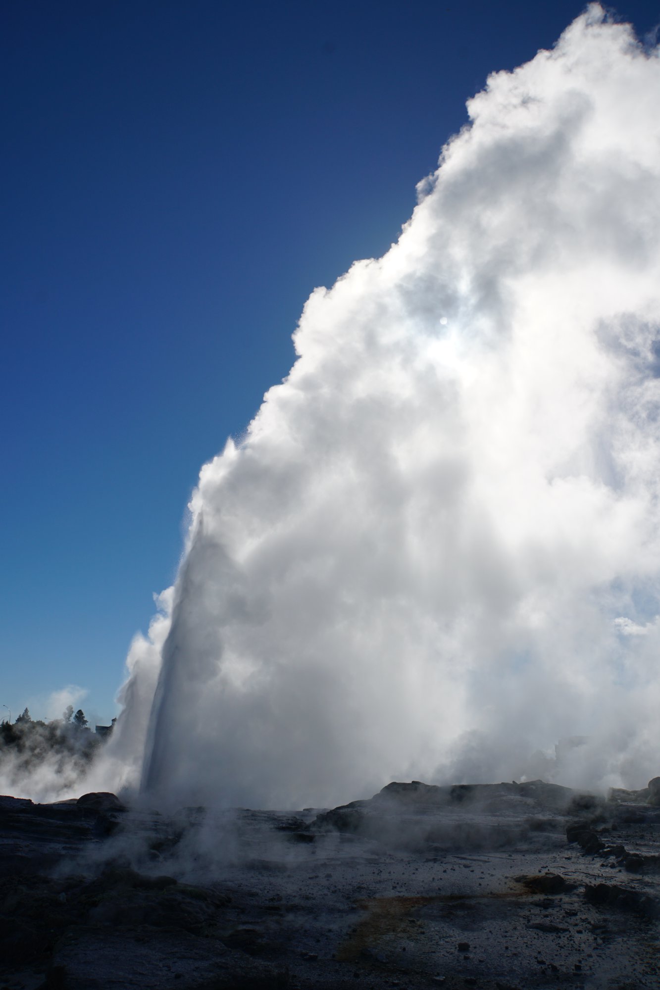 ロトルアの間欠泉
