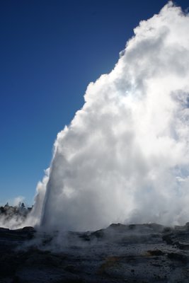 ロトルアの間欠泉
