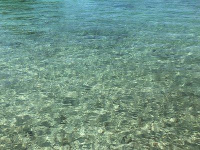 モーレア島の海水