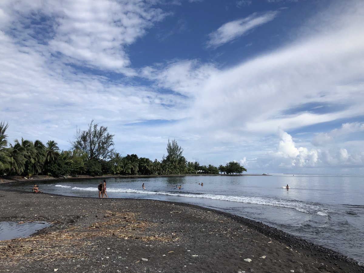 海岸で遊ぶ人達