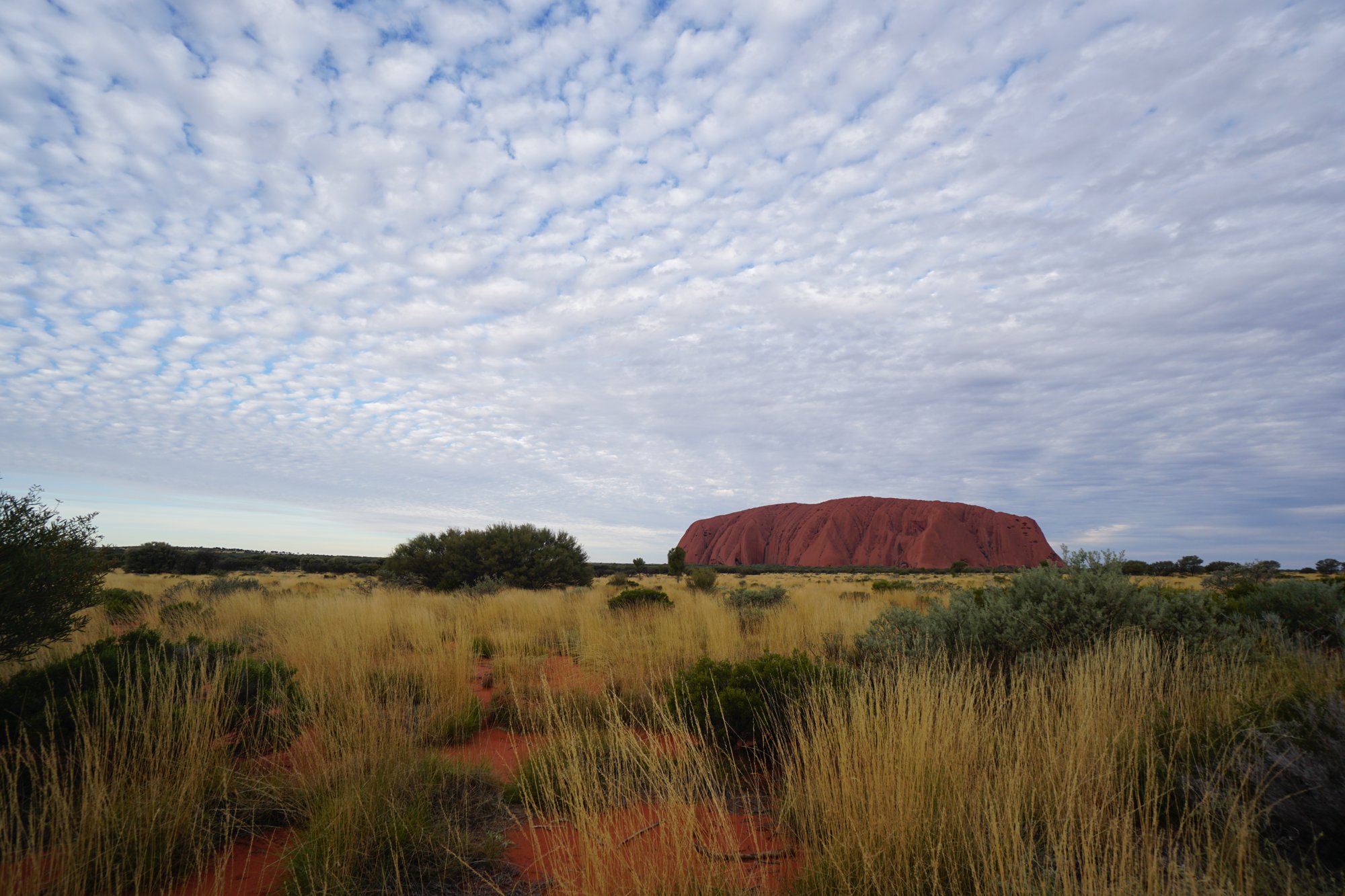 ウルル (エアーズロック)