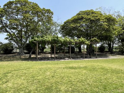 パーゴラベンチ